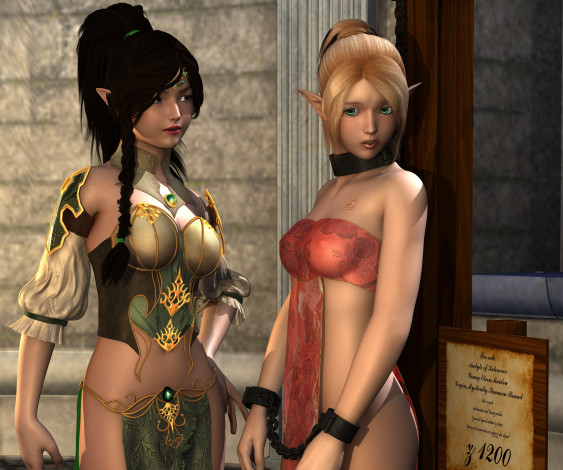 Обои картинки фото 3д графика, эльфы , elves, фон, взгляд, эльфийки