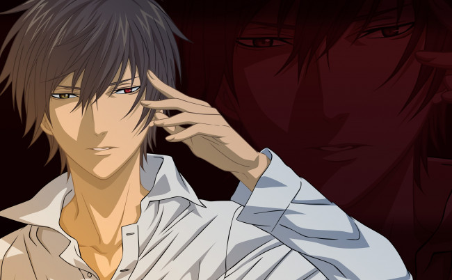 Обои картинки фото аниме, shinrei tantei yakumo, парень, арт, взгляд, рубашка