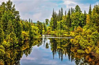 Картинка природа реки озера река лес