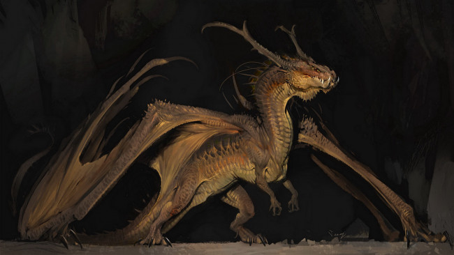Обои картинки фото фэнтези, драконы, дракон, фон