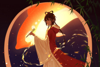 Картинка аниме unknown +другое luo tianyi