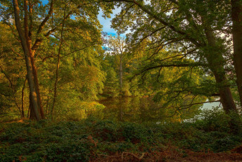 Картинка природа реки озера простор