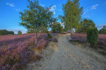 Картинка природа дороги простор