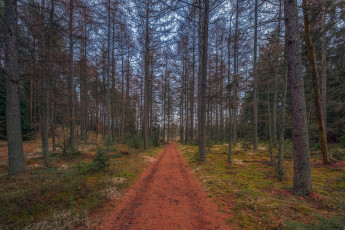 Картинка природа дороги простор