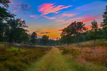 Картинка природа дороги простор