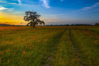 Картинка природа дороги простор