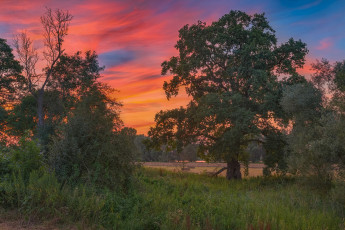 Картинка природа пейзажи простор