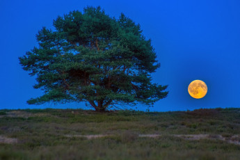 Картинка природа пейзажи простор