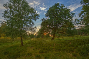 Картинка природа пейзажи простор