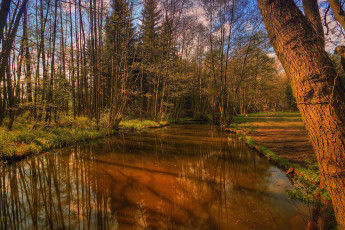 Картинка природа реки озера простор