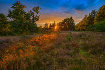 Картинка природа восходы закаты простор