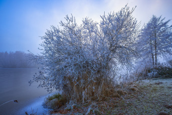 Картинка природа зима простор