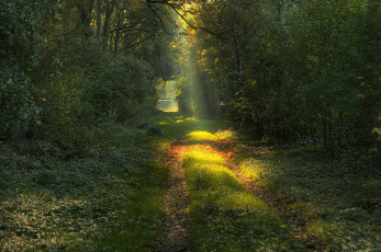 Картинка природа дороги простор