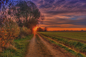 Картинка природа дороги простор