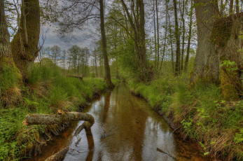 Картинка природа реки озера простор