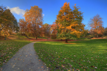 Картинка природа дороги простор