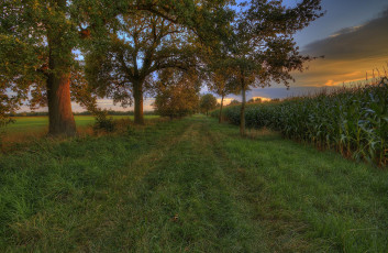 Картинка природа дороги простор