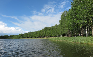 Картинка природа реки озера деревья река