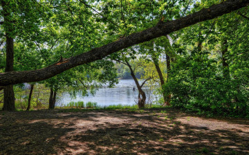 Картинка природа реки озера днепр киев заводь закат украина