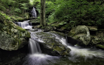 Картинка природа водопады pennsylvania риккетс глен стейт ricketts glen state park
