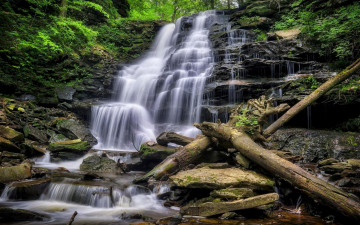 Картинка природа водопады риккетс глен стейт pennsylvania ricketts glen state park