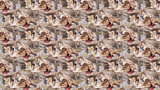 Обои картинки фото разное, текстуры, сон, текстура, котята, арт