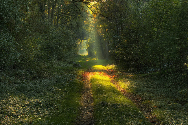 Обои картинки фото природа, дороги, простор