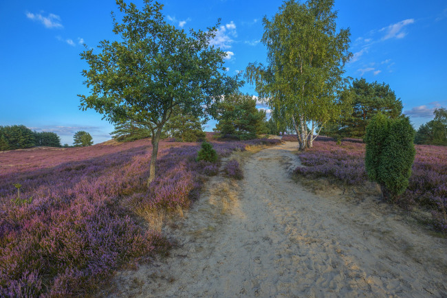 Обои картинки фото природа, дороги, простор