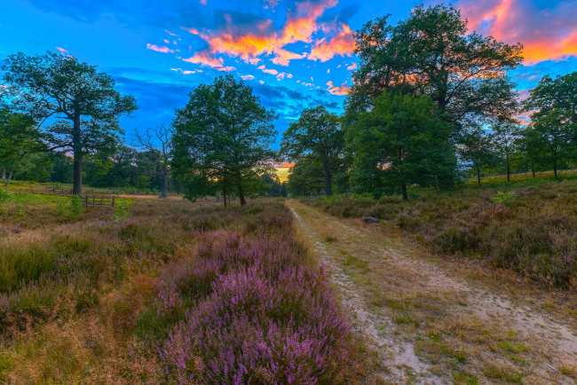 Обои картинки фото природа, дороги, простор