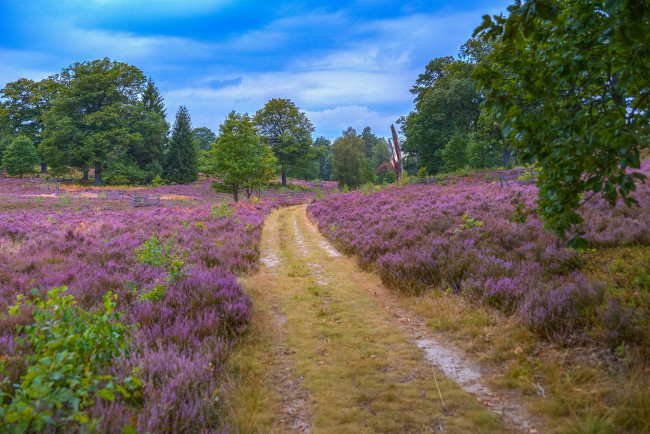 Обои картинки фото природа, дороги, простор