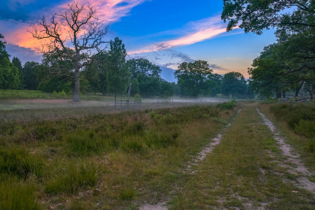 Обои картинки фото природа, дороги, простор