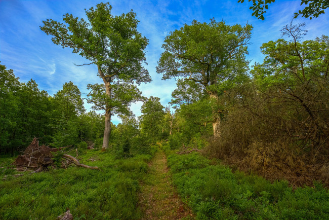 Обои картинки фото природа, дороги, простор