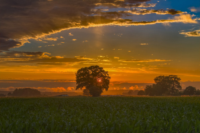 Обои картинки фото природа, восходы, закаты, простор