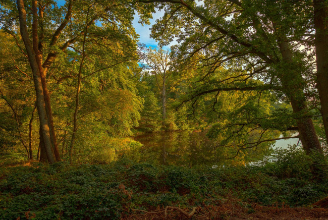 Обои картинки фото природа, реки, озера, простор