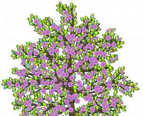 Картинка векторная+графика природа+ nature цветы дерево