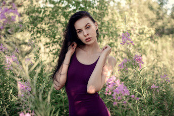 Картинка девушка девушки -unsort+ брюнетки темноволосые модель