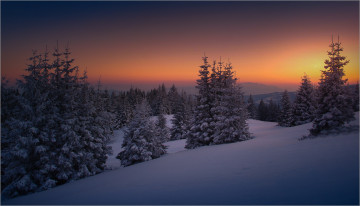 Картинка природа зима простор