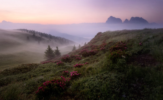 Обои картинки фото природа, пейзажи, простор