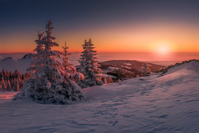 Обои картинки фото природа, зима, простор