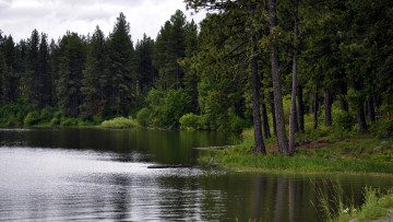 Картинка morgan+lake oregon usa природа реки озера morgan lake