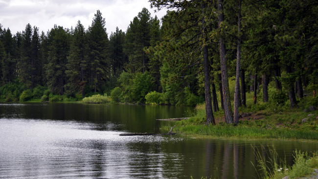 Обои картинки фото morgan lake, oregon, usa, природа, реки, озера, morgan, lake