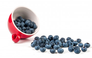 Картинка еда голубика +черника черника