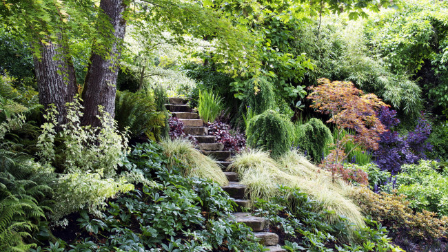 Обои картинки фото природа, парк, ступеньки, деревья