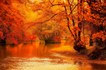 обоя разное, компьютерный дизайн, осень, лес, река