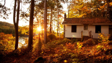 Картинка города -+здания +дома дом лес осень река