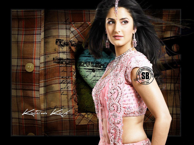 Обои картинки фото Katrina Kaif, девушки