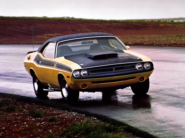 Обои картинки фото dodge, challenger, автомобили