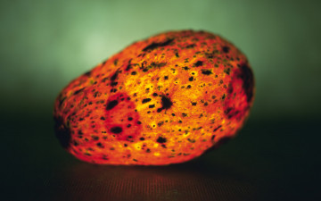 Картинка еда авокадо