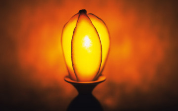 Картинка еда карамбола