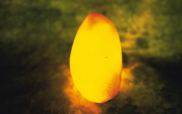 Картинка еда манго